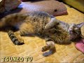 くねくねララちゃん