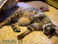 くねくねララちゃん