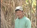 Trailer for documentary about a place where Men fight with blades daily. Just another day in Paradise.