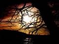 SounDropS_-_Некое_наружное_-_Ambient_world_(24_12_2006) .wmv