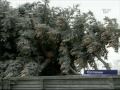 Zambetul lui Chirtoaca (Povestea Bradului) Zambetul lui Chirtoaca (Povestea Bradului)
