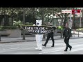 Polar Bear Stops Traffic In Seattle