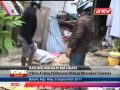 TOPIK ANTV Kelaparan, 7 Ekor Anjing Memangsa Majikannya