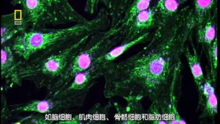 El increíble cuerpo humano