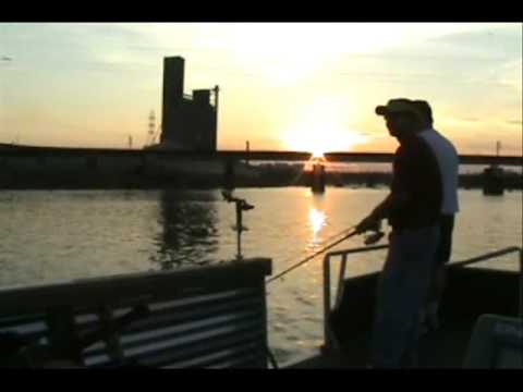 James River Shad Fishing