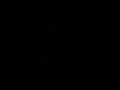 a/v vignette of song if i go down (take your bullet back) created and produced by douglas september.
(c) 2006 douglas september

audio track from album produced by splattercell (david torn) and robby aceto with additional production by douglas september

with musicians:
douglas september, robby aceto (guitars, loops, accordion), splattercell (additional freq programming & rhythm arrangements)
(c) 2001 lupins productions
