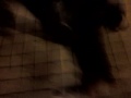 botte divertenti parte 3