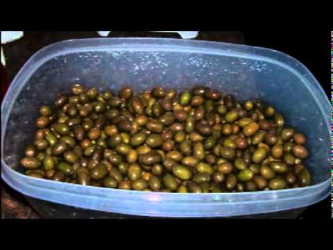 how to cure green olives