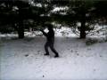 EXERCISES FOR ALL SEASONS: 37 Posture Tai Chi Form