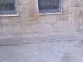 escorpion de marc