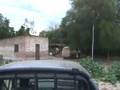 videos de JUAN FLORES Y FABIAN DEL CAMPO EN ESCUELA 923