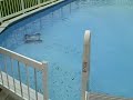 iRobot Verro 100 Above Ground Pool Cleaning Robot