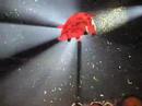roger-waters-shines-in-mumbai.html