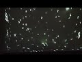 Click here to watch this video Charles Atlas at Luhring Augistine, video by Jason Ramos