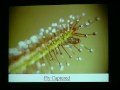 The ICPS World Conference in Tokyo 2002 - Part 11