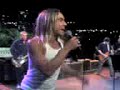 iggy pop