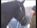 On their way to The R�ros Fair 2007 - Part 1 of 4
