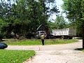 Clearing dead trees in Baton Rouge Clearing dead trees in Baton Rouge