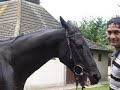 Kings Ride Training Establishment Kings Ride Training Establishment