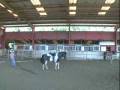 Equine Observations in Maui - Part 3 with Anna Twinney