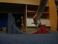 Click here to watch this video tony hawk der giraffen (giraffe fährt in der halfpipe und fliegt durch die tür)