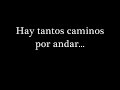 Julieta Venegas - Andar conmigo Subtitulado