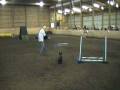 videos de Scottie agility (MAC!)