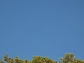 UFOs over Philly during Bruce Springsteen/Obama concert