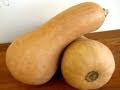 Butternut Squash: 101