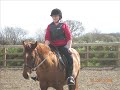 Click here to watch this video persuade your parents to buy you a horse