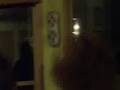 Best Friend Birthday dance