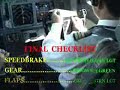 Boeing 737 DVD Training Material Video ILS Approach+Landing