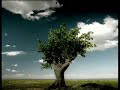 Arbol Protect Nature directed by Diego Pernia Arbol Protect Nature directed by Diego Pernia