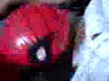chico ulises version wenanaty chico ulises version wenanaty
