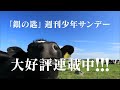 【サンデー】「銀の匙」早くも累計100万部突破!! TVCM!! クラブサンデー