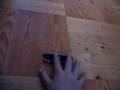 videos de game of s.k.a.t.e