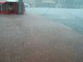 videos de Kletsende regen en friet van De Belg Waterloo Grote Markt Groningen