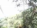 zip-line-in-jamaica.html