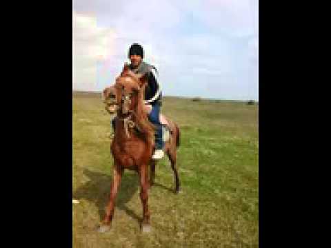 Resad Serur Yeni Toy Mahnisi 2014