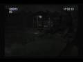 Biohazard Outbreak 殲滅２：　Gators, Bees, and Brooms, oh my!