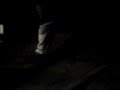 WILL ON POGOO STICKK