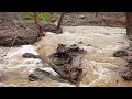 Raging Streams Raging Streams