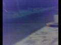 videos de ragazzi pazzi dal benzinaio