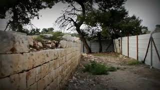 مسجد قرية الغابسية المهجرة -الجليل الغربي (قضاء عكا)