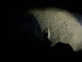 Video screenshot