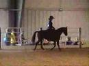 SV Clairvoyant Western Pleasure SV Clairvoyant Western Pleasure