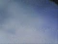 Terence McKenna/////terence's mad sky Terence McKenna/////terence's mad sky