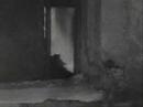 Stalingrad: The Fated Clash