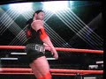 nWo Wolfpac