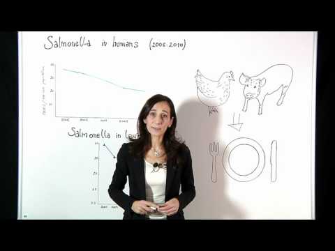 What is Salmonella? How can we control and reduce it?